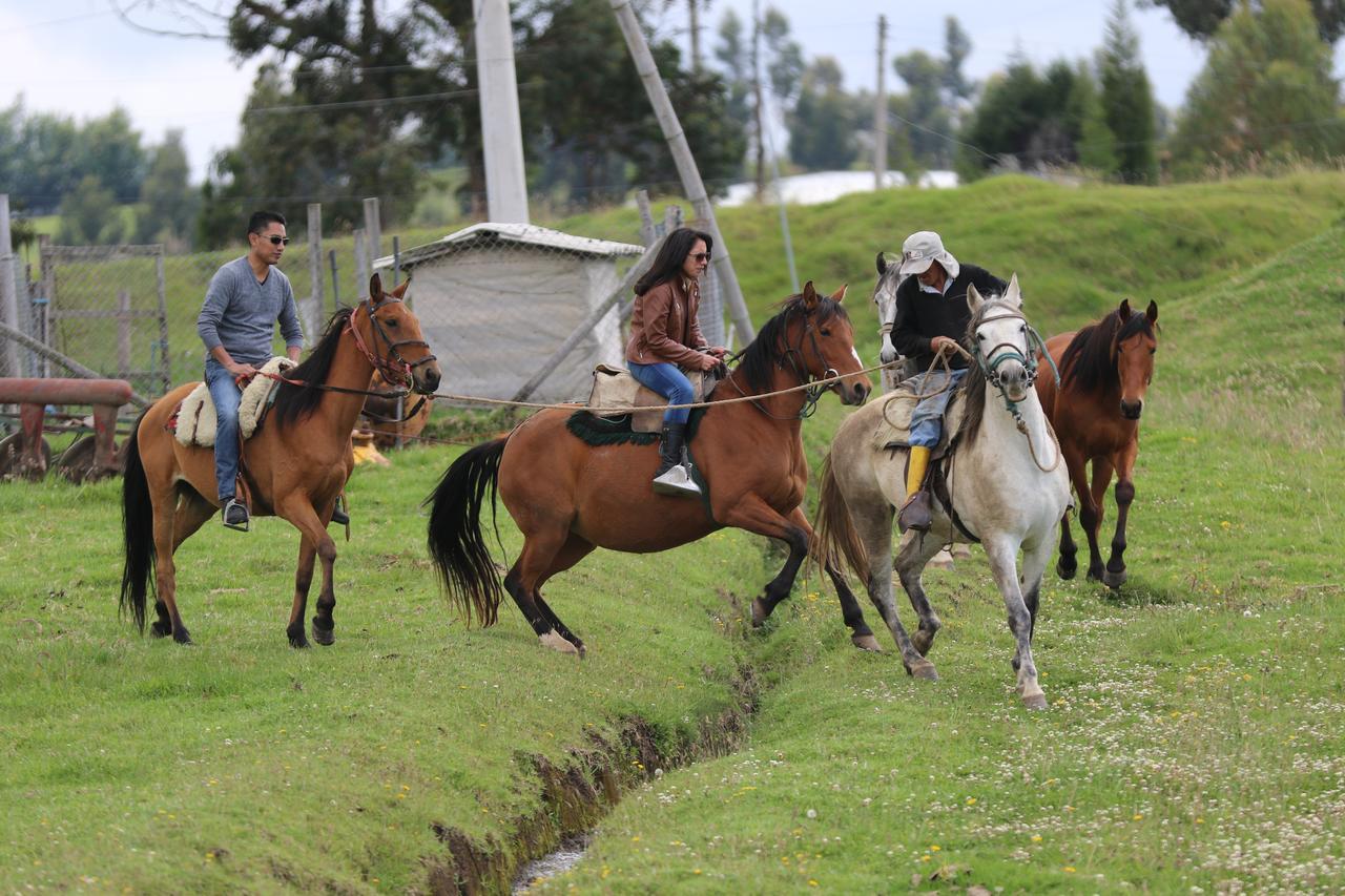Hosteria Loma Larga Cayambe Exterior photo
